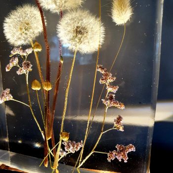 Pitypangos lámpások