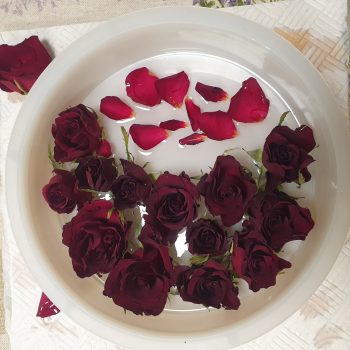 Kör alakú lámpások