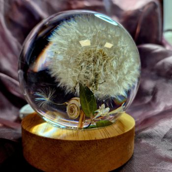 Pitypangos gömblámpás csigaházzal