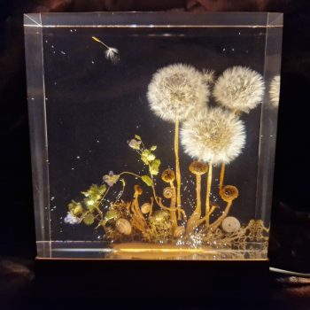 Pitypangos lámpás, lennel - rendelhető