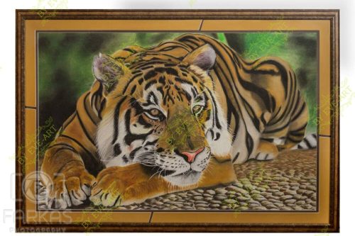tiger 135x185